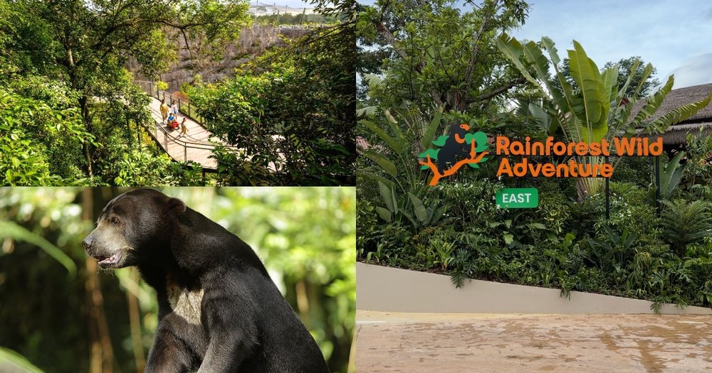 SG - rainforest wild adventure east