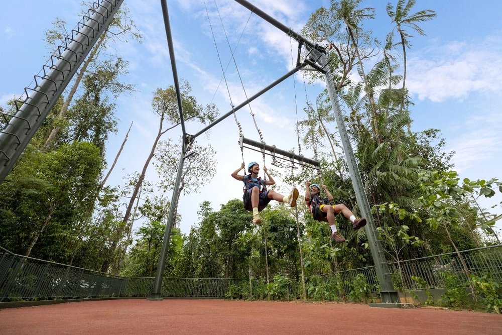 SG - rainforest wild adventure ravine swing