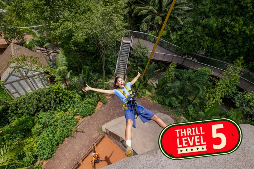 SG - rainforest wild adventure split rock summit