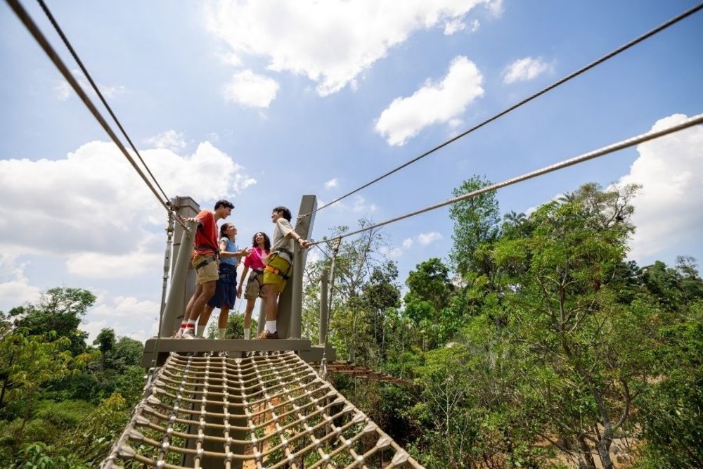 SG - rainforest wild adventure treetop traverse