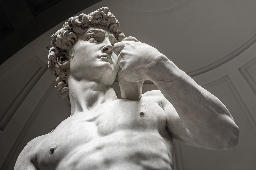 The David statue in Gallery of the Accademia