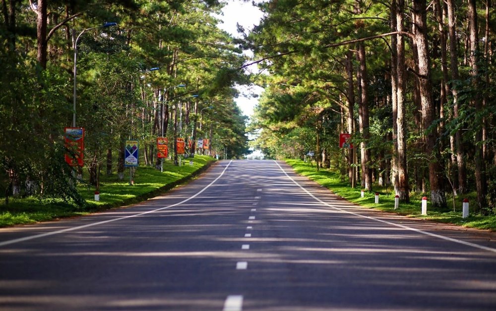 Măng Đen - Nàng Thơ Của Đại Ngàn Tây Nguyên