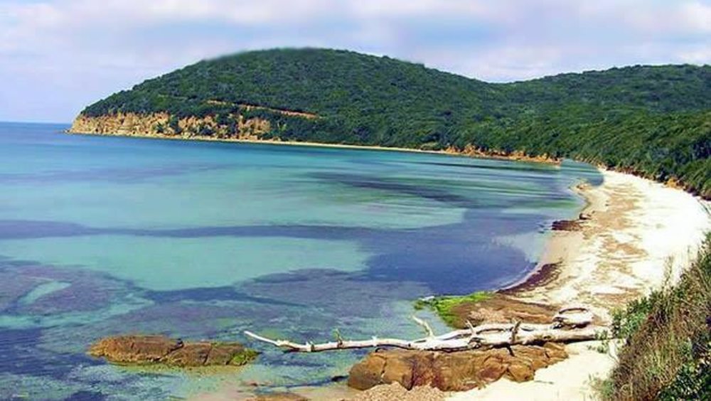 Cala Violina