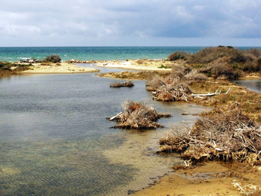 Beaches of the Maremma Natural Park