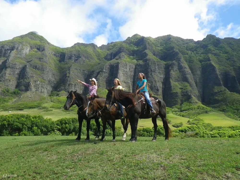 kualoa horse