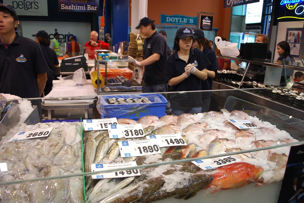 Fish stall at Sydney Fish Market