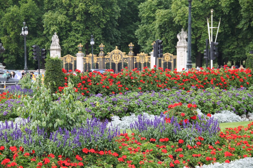 Buckingham Palace garden | Photo Credits: Gary Todd on Flickr
