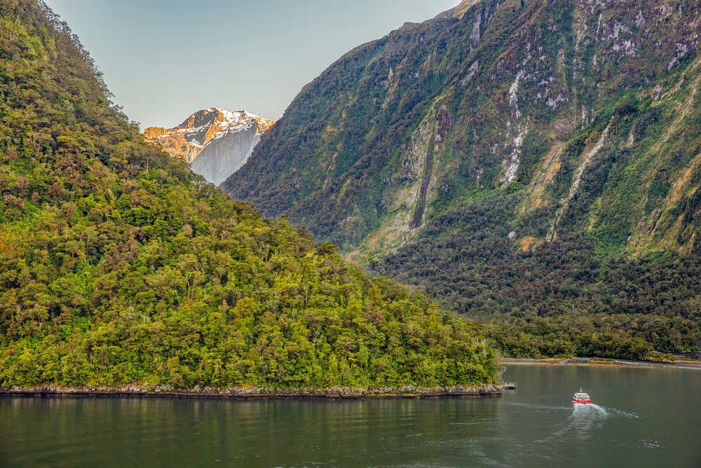 Cruising around Milford Sound in New Zealand | Photo Credit: Richard Pan on Pexels