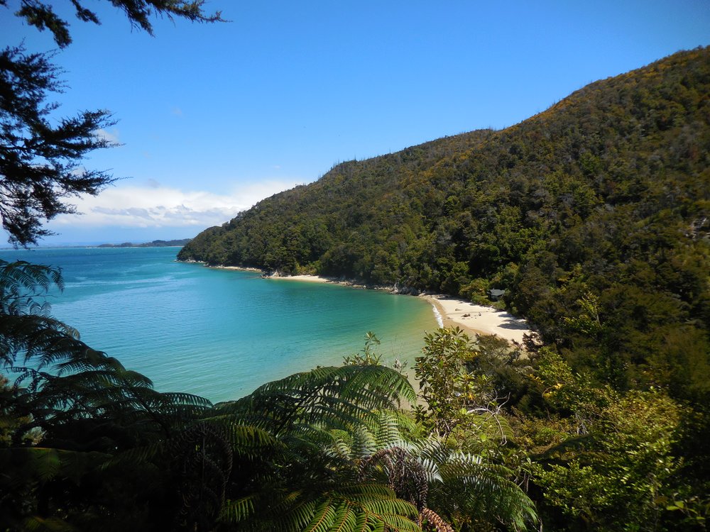 Abel Tasman trail | Photo Credit: Wikimedia Commons