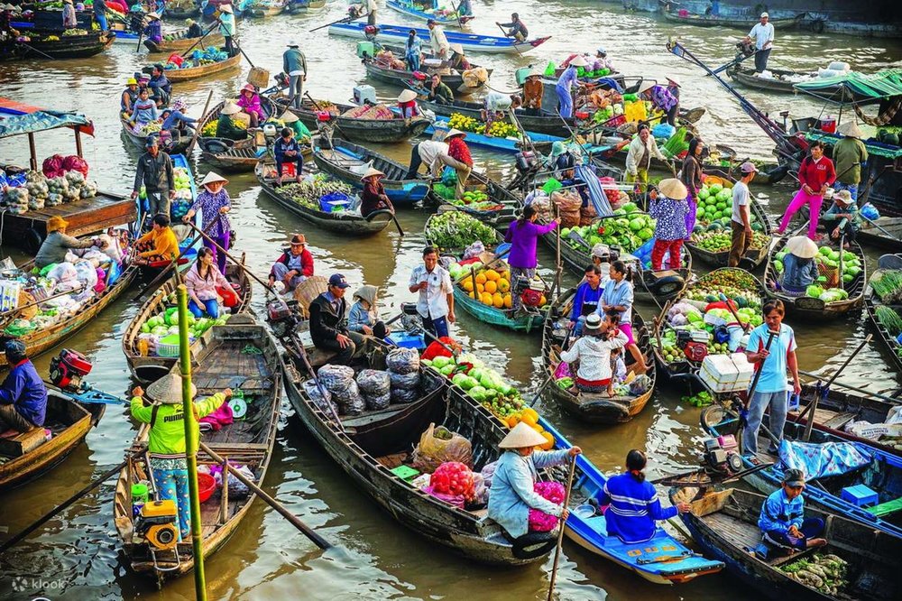 Tại Sao Nên Đi Du Lịch Cần Thơ Mùa Nước Nổi?
