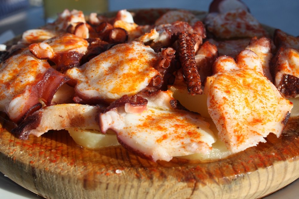 Pulpo a la gallega | Photo Credit: Wikimedia Commons