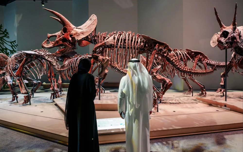 Natural History Museum Abu Dhabi