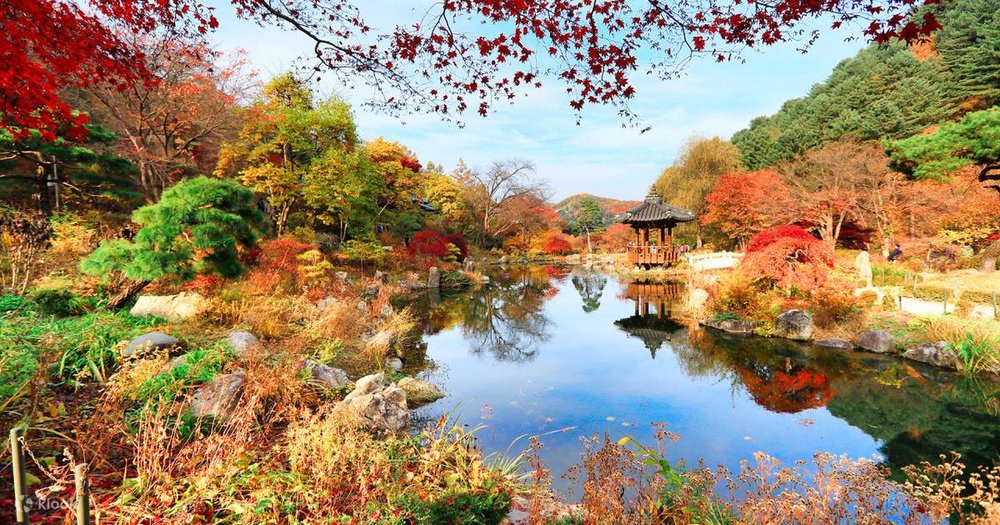 Ngày 1: Khám Phá Ngoại Ô Seoul Thơ Mộng