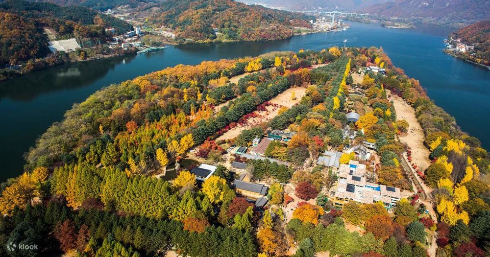 Tối: Kết Thúc Hành Trình Và Trở Về Trung Tâm Seoul