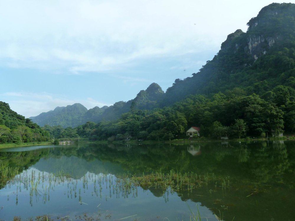 Cuc Phuong National Park | Photo Credit: Wikimedia Commons