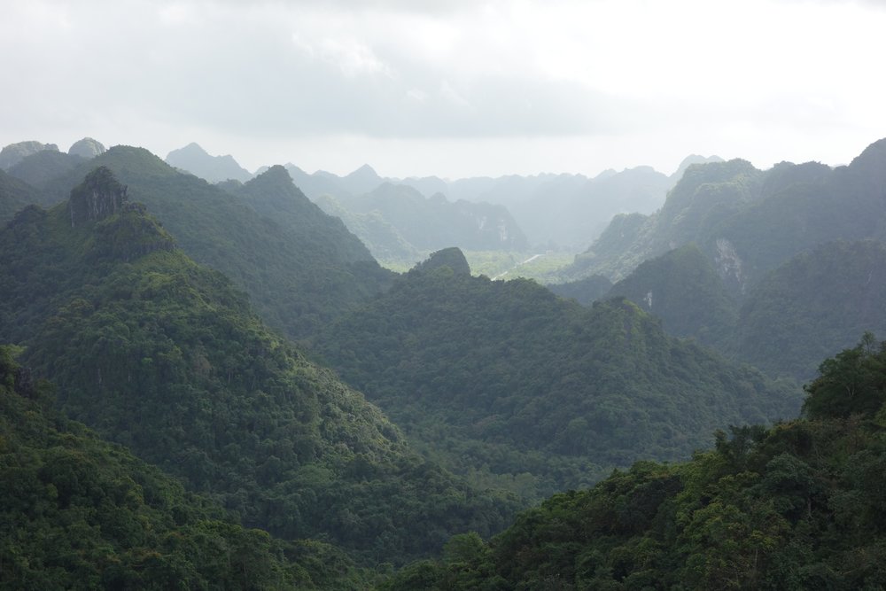 Cat Ba National Park | Photo Credit: Wikimedia Commons