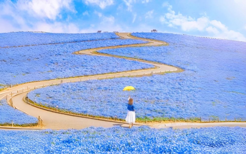 日立海濱公園