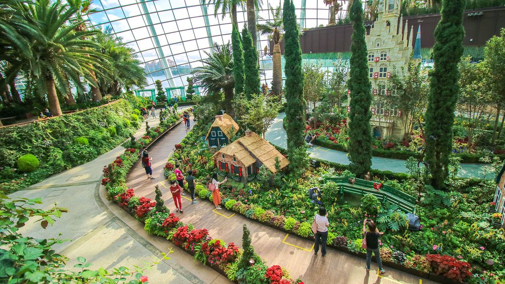 Flower Field - Flower Dome