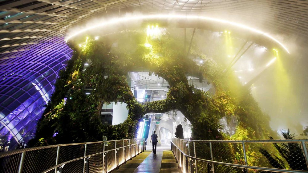 Tree Top Walk - Cloud Forest