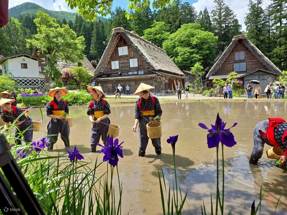 Làng Cổ Shirakawa-Go - Bản Tình Ca Hinamizawa Trong Higurashi