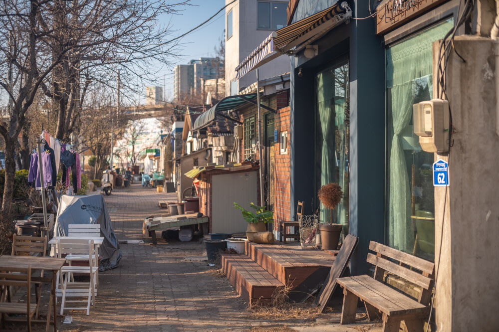  Yeonnam-dong: Con Đường Rừng Giữa Lòng Đô Thị