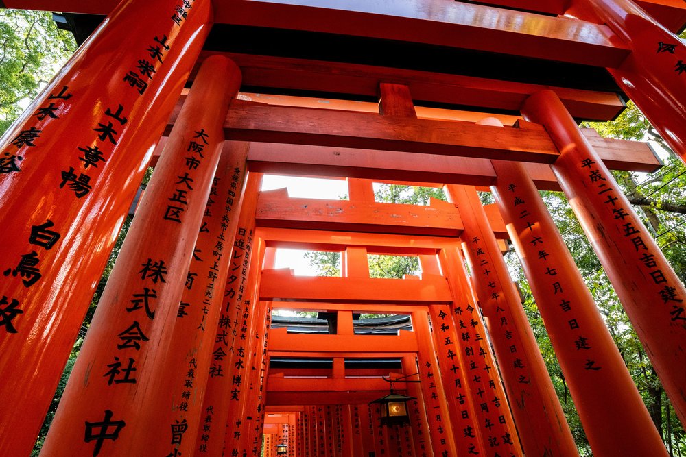 Donated torii gates at Fushimi Inari Taisha 