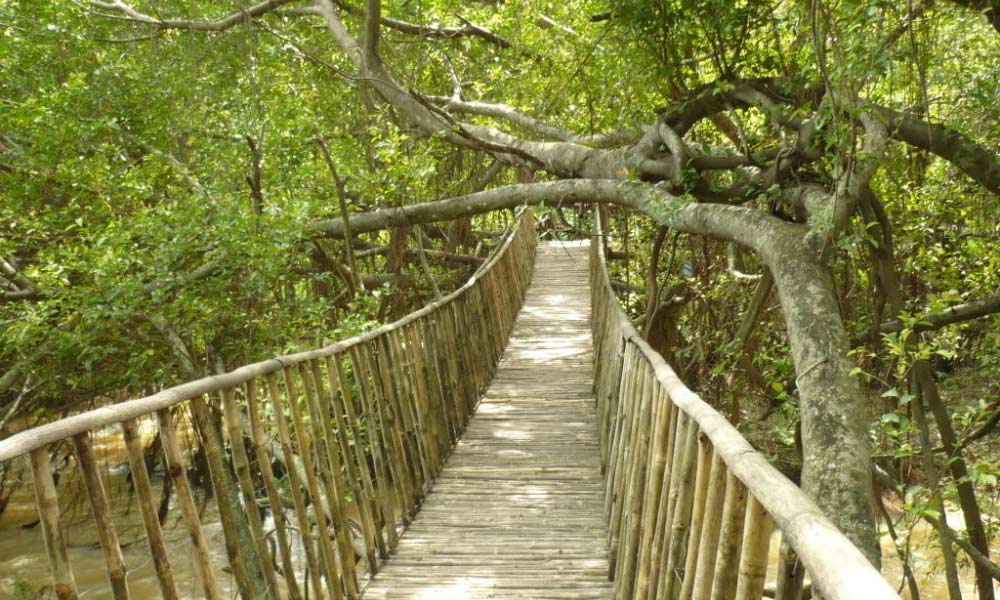  Khu Du Lịch Sinh Thái Bản Đôn - Huyền Thoại Những Tay Săn Voi