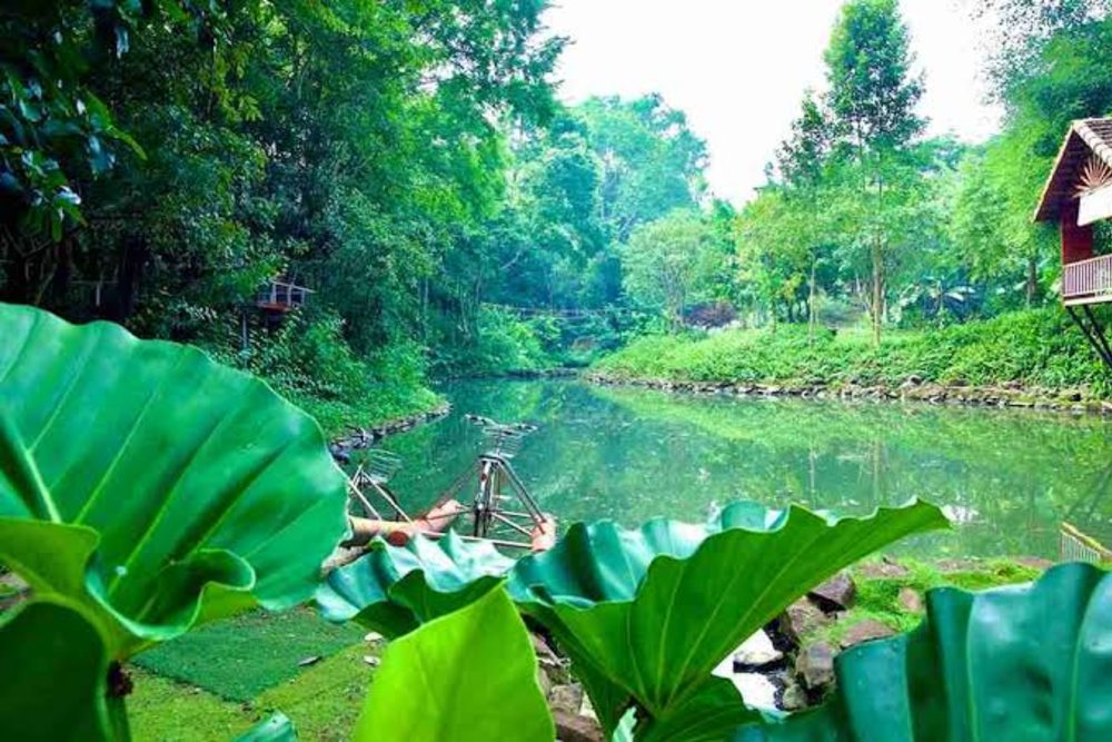 hu Du Lịch Sinh Thái Troh Bư - Vườn Lan Giữa Cao Nguyên
