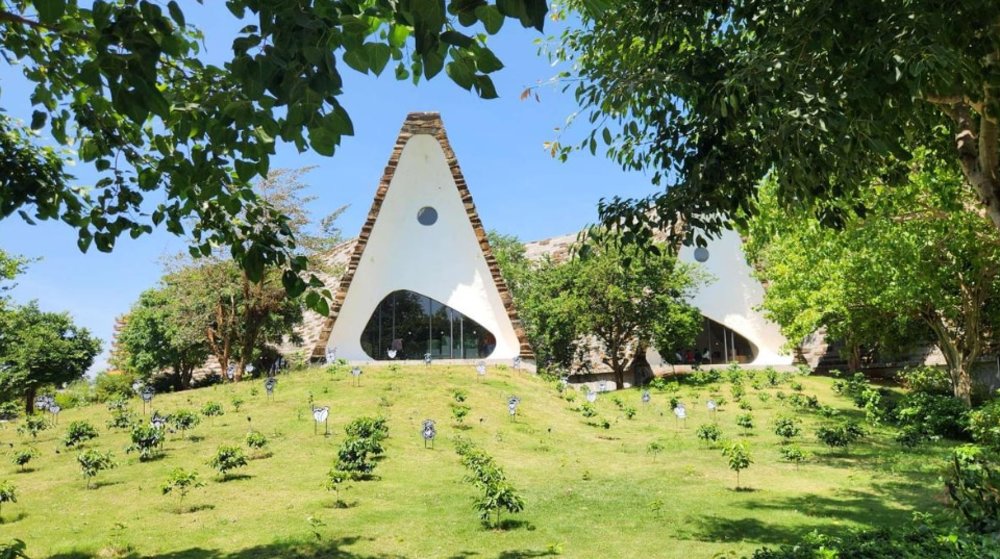 Trải Nghiệm Vườn Zen