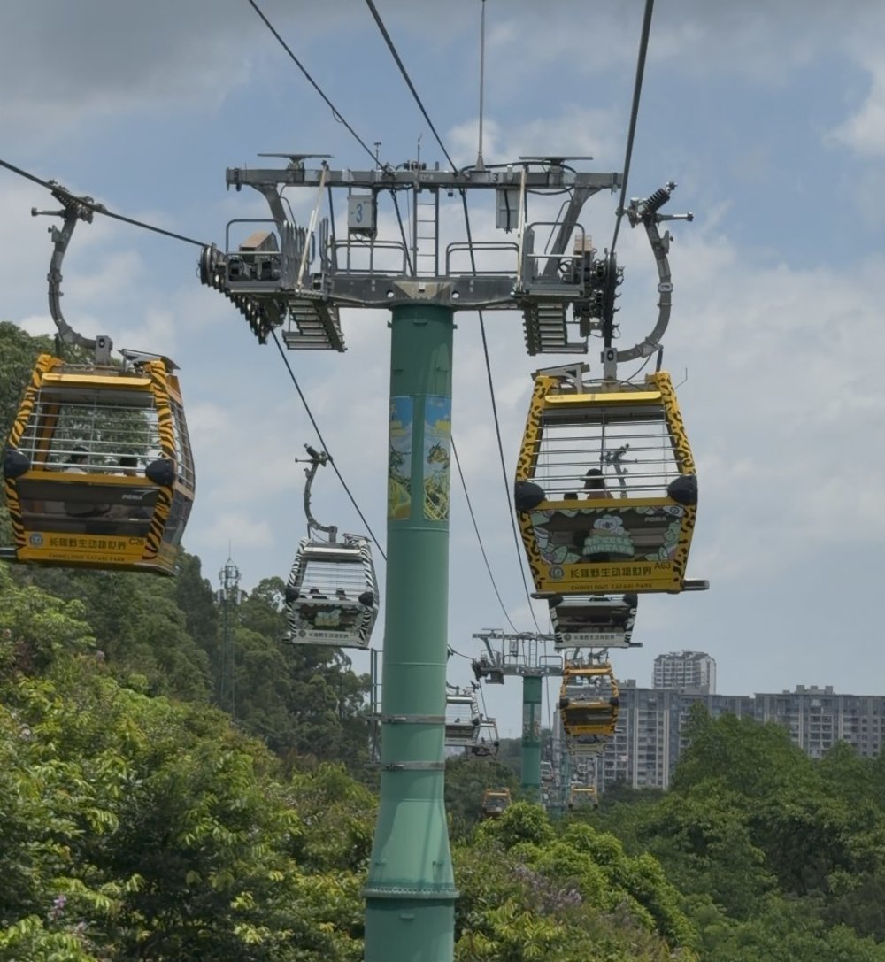 SG - Chimelong safari park
