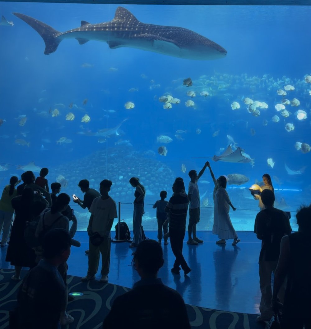 SG - Chimelong ocean kingdom
