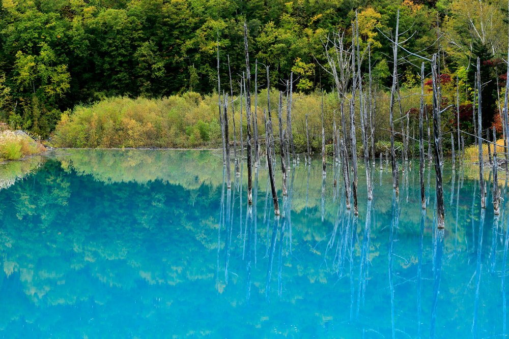 Biei Blue Pond
