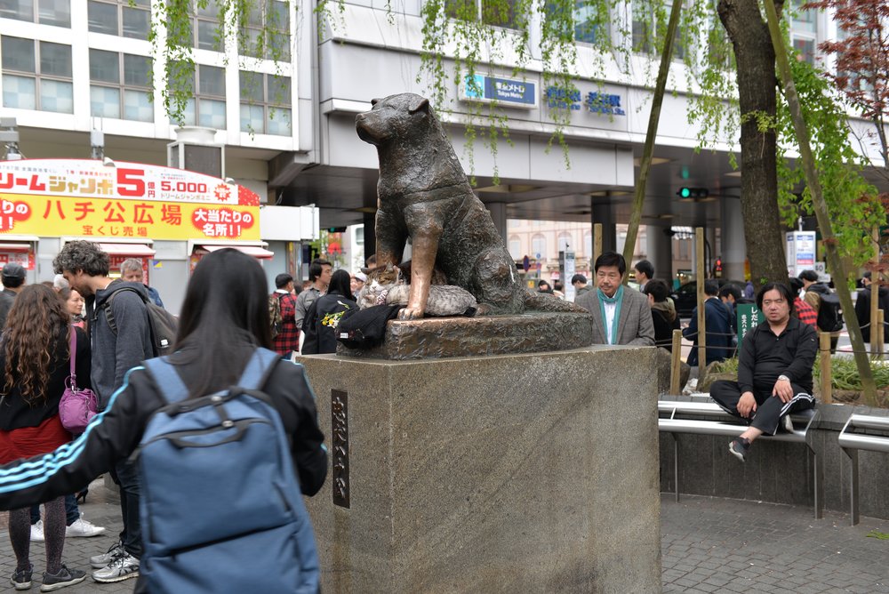 Hachiko Statue