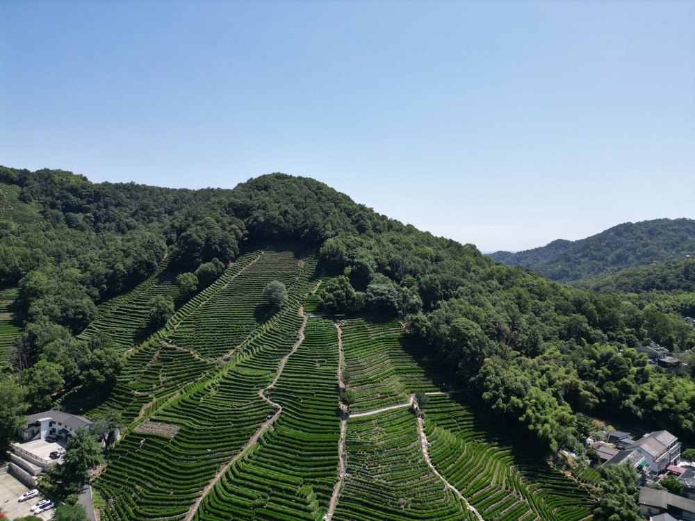 龍井村