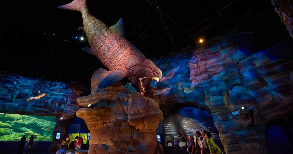 Singapore Oceanarium - Khám Phá Đại Dương Ngay Trên Đảo Sentosa