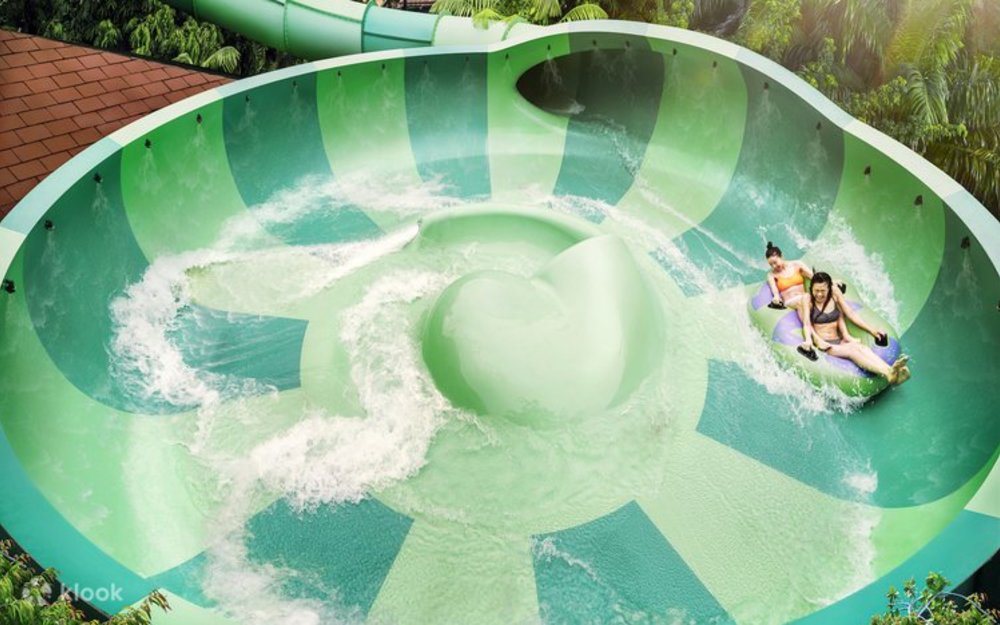 Adventure Cove Waterpark - Vừa Chơi Công Viên Nước, Vừa Ngắm Cá
