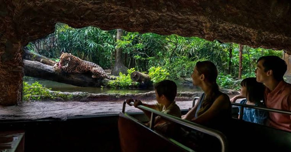 Amazon River Quest - Ngồi Thuyền Tìm Kiếm Động Vật