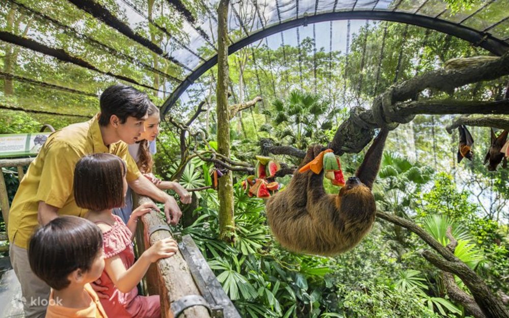 Cách Di Chuyển Đến Mandai Wildlife Reserve Tiết Kiệm Và Tiện Lợi
