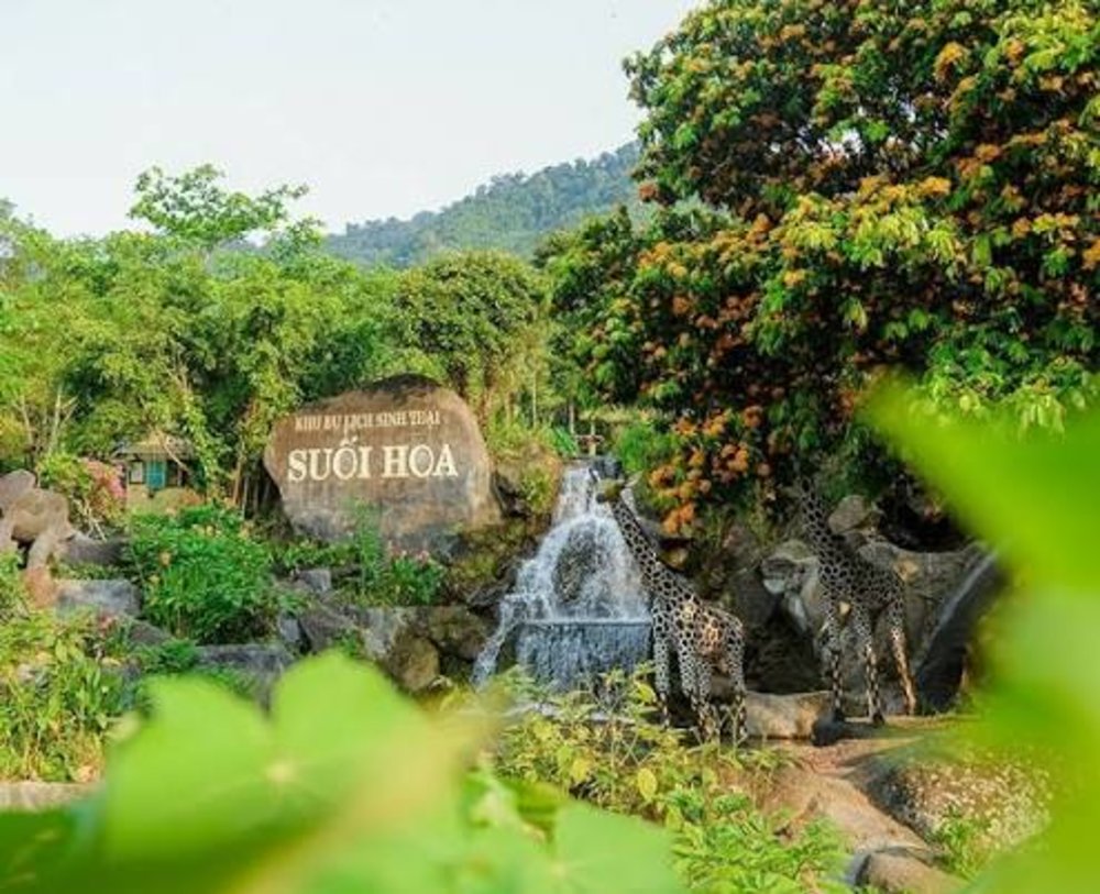 Gợi Ý Lịch Trình Cắm Trại Suối Hoa - Đà Nẵng 1 Ngày 1 Đêm