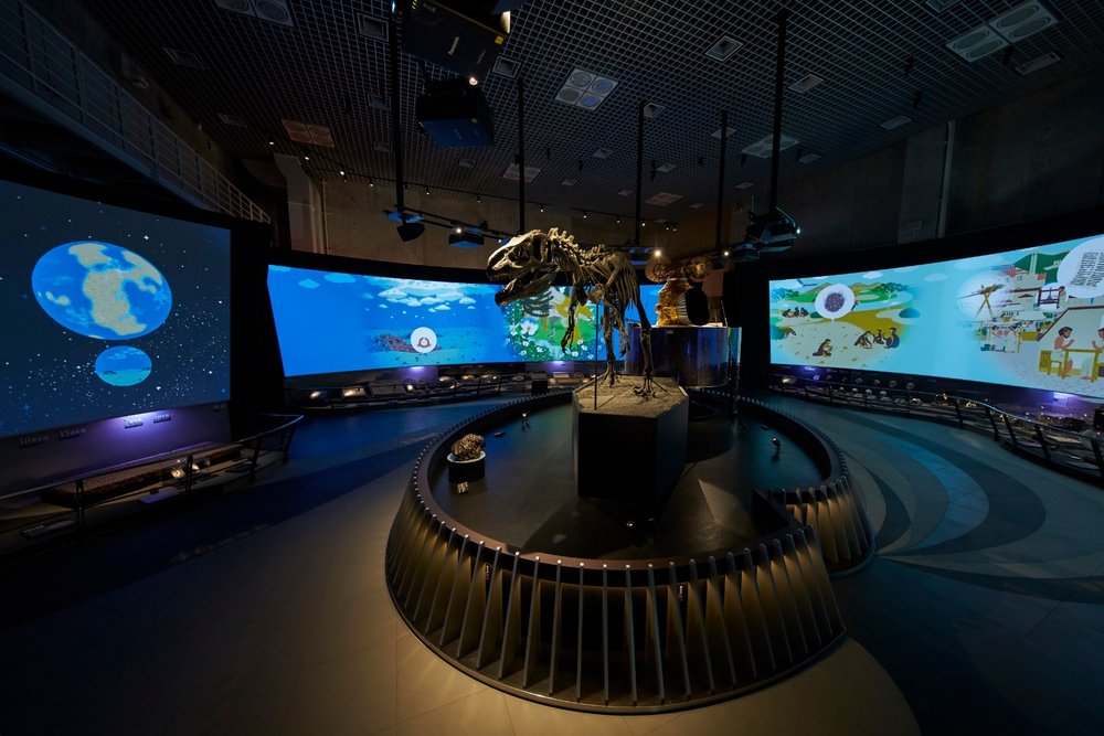 National Museum of Nature and Science