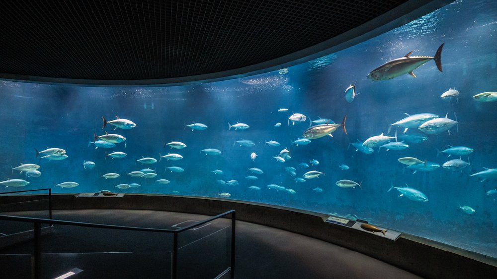 葛西臨海水族園水上劇院
