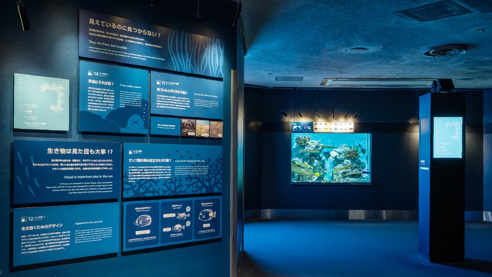 葛西臨海水族園世界的海展區