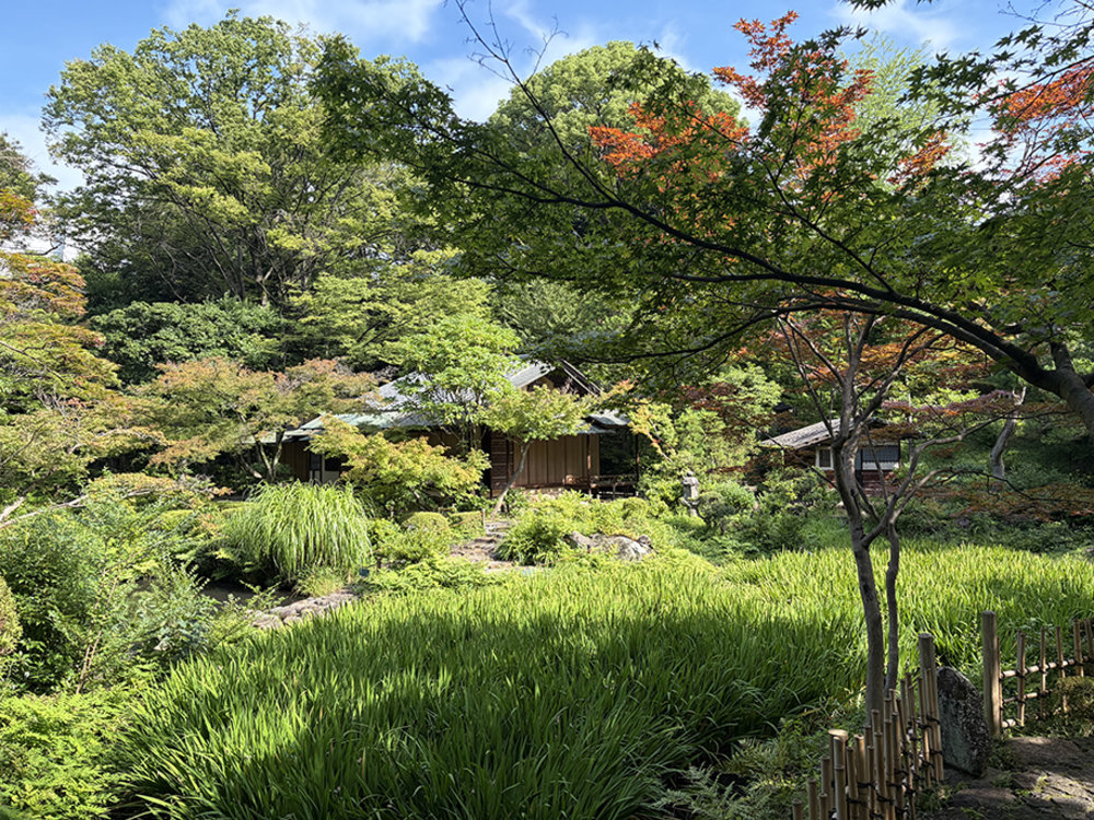 根津美術館 燕子花圖屏風