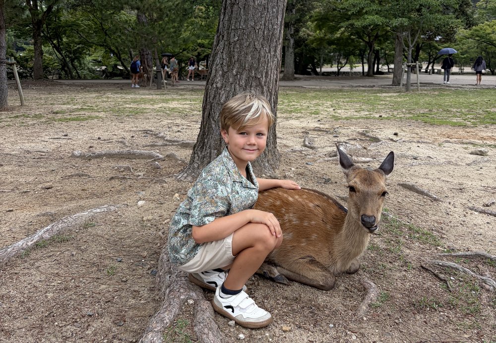 Nara Park