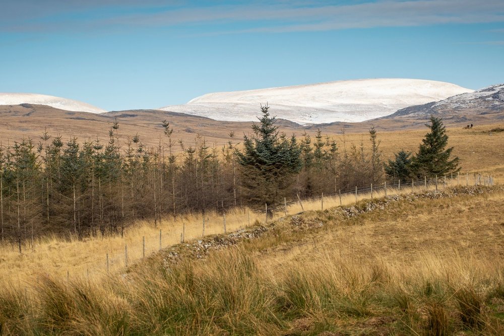  Vườn Quốc Gia Bannau Brycheiniog (Brecon Beacons)