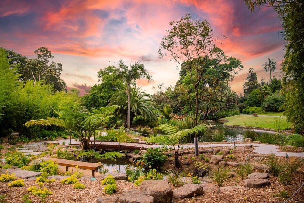 Vườn Thực Vật Royal Botanic Garden: Oasiss Xanh Yên Bình Giữa Lòng Melbourne