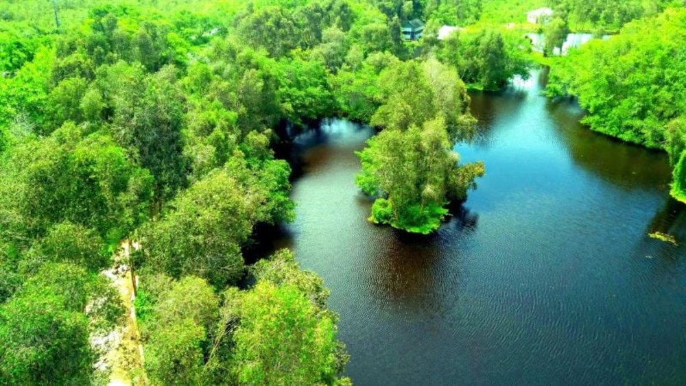 Đi Vỏ Lãi Khám Phá Rừng Tràm