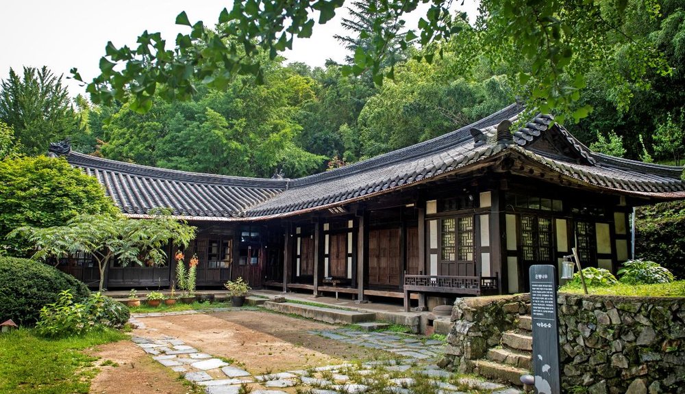 Sáng: Rừng Ahopsan (Ahopsan Forest)