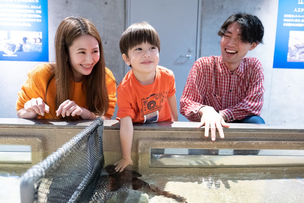 Touch pools at Enoshima Aquarium