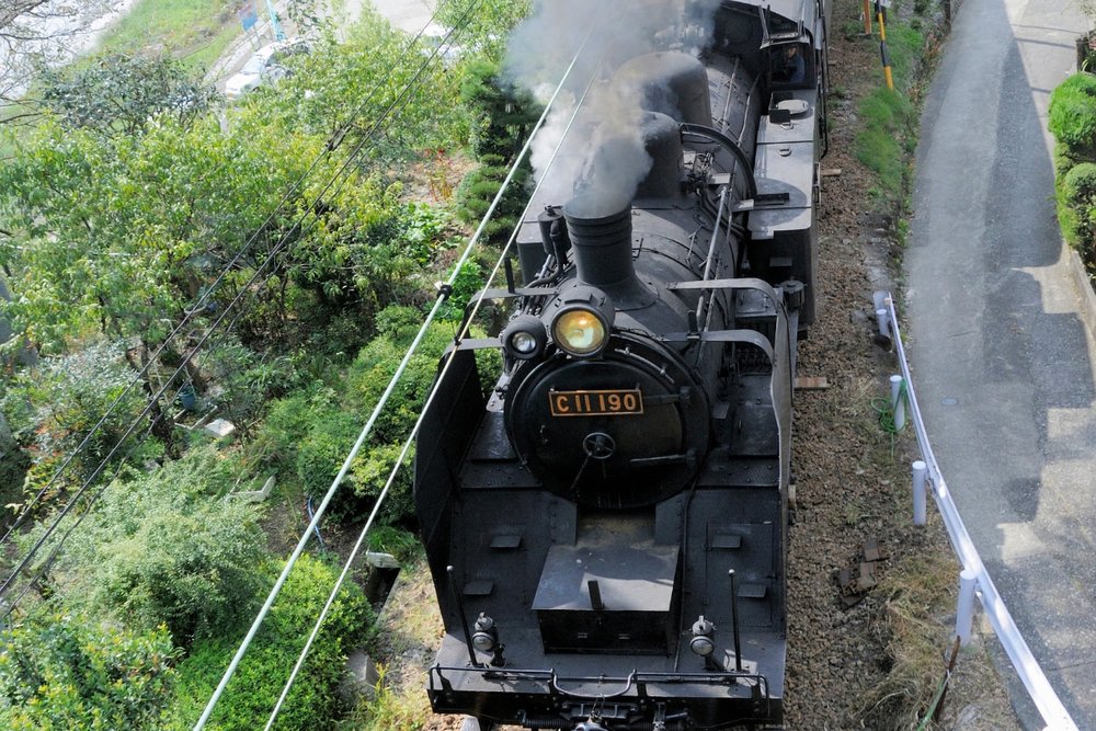 Lưu Ý Khi Đi Tàu Oigawa Railway